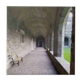 Cloister-gang met schaduwen bij Bryn Mawr Tegeltje