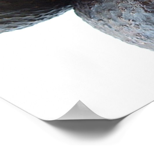 Close Avocados Poster (Hoek)