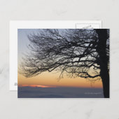 Close-up bij zonsondergang, silhouet briefkaart (Voorkant / Achterkant)