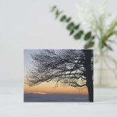 Close-up bij zonsondergang, silhouet briefkaart (Staand voorkant)