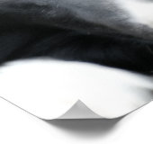 Close-up Black Border Collie Dog Face Orton Art Poster (Hoek)