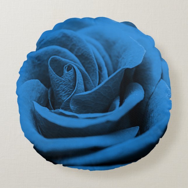 Close-up blauw rood roos, macro schoonheid. rond kussen (Voorkant)