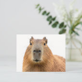 Close-up Capybara Portret Briefkaart (Staand voorkant)