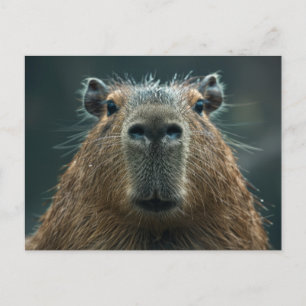 Close-up Capybara Portret Briefkaart