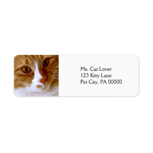 Close-up Cat retouradreslabels Etiket