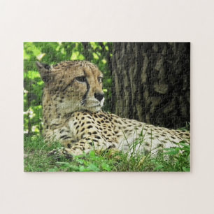 Close-up Cheetah Legpuzzel