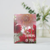 Close Up Dahlia Bloemen in Roze en Rood Briefkaart (Staand voorkant)