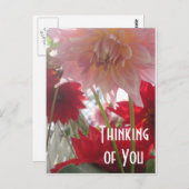 Close Up Dahlia Bloemen in Roze en Rood Briefkaart (Voorkant / Achterkant)