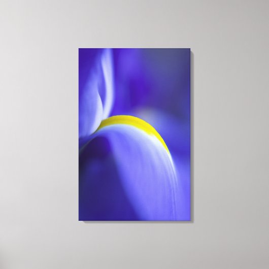 Close-up detail van een Blue Flag iris. Canvas Afdruk (Voorkant)