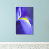 Close-up detail van een Blue Flag iris. Canvas Afdruk (Insitu (Houten vloer))