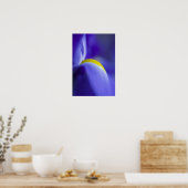 Close-up detail van een Blue Flag iris. Poster (Keuken)