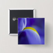 Close-up detail van een Blue Flag iris. Vierkante Button 5,1 Cm (Voorkant /achterkant)