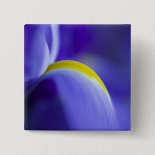 Close-up detail van een Blue Flag iris. Vierkante Button 5,1 Cm