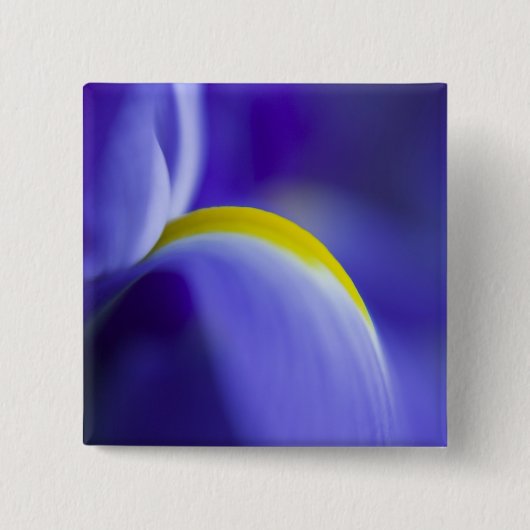 Close-up detail van een Blue Flag iris. Vierkante Button 5,1 Cm (Voorkant)