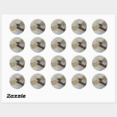 Close-up Dragonfly Ronde Sticker (Vel)