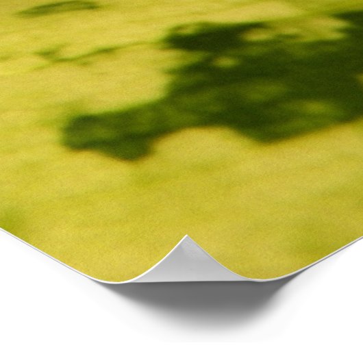 Close-up foto van bontblad poster (Hoek)