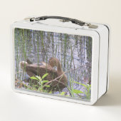 Close-up foto van een eend (Achterkant)