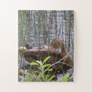 Close-up foto van een eend legpuzzel