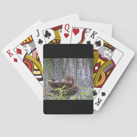 Close-up foto van een eend pokerkaarten (Achterkant)