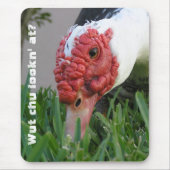 Close-up foto van het oog van de eend muismat (Voorkant)
