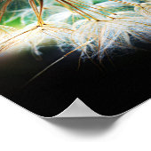 Close-up Gedetailleerde Bloem Natuur Fotografie Poster (Hoek)