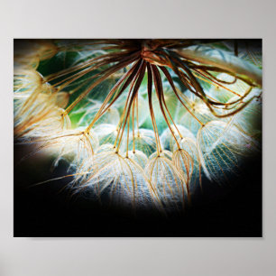 Close-up Gedetailleerde Bloem Natuur Fotografie Poster