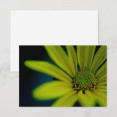 Close-up Gele Wildflower Notitiekaartje (Voorkant / Achterkant)