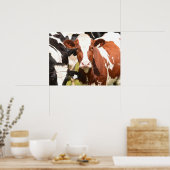 Close-up Gezicht van Rode, Witte Holstein Dairy Ko Poster (Keuken)