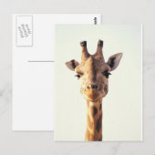 Close-up Giraffe Briefkaart (Voorkant / Achterkant)