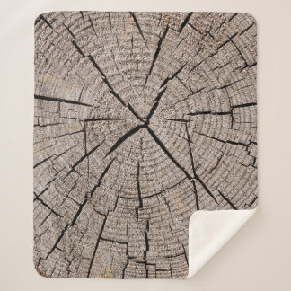 Close up gray background texture of old weathered  sherpa deken