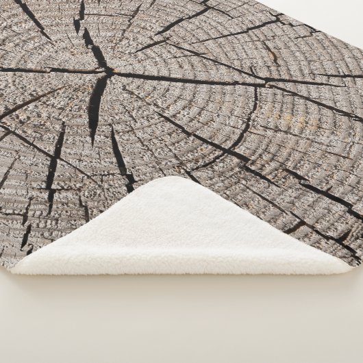 Close up gray background texture of old weathered  sherpa deken (3/4)