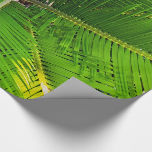 Close-up groene palmboombladeren cadeaupapier (Hoek)
