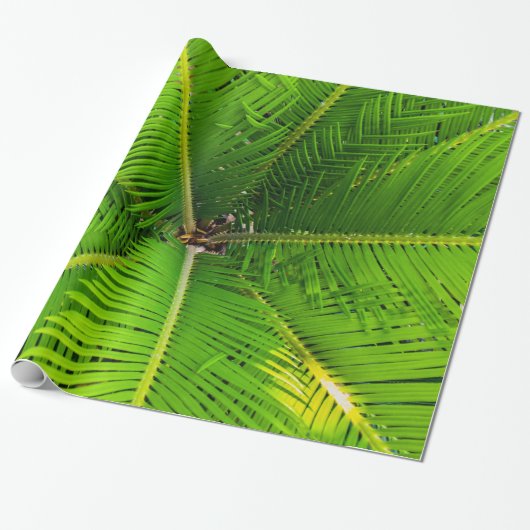 Close-up groene palmboombladeren cadeaupapier (Uitgerold)