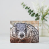 Close-up Groundhog Portret Briefkaart (Staand voorkant)