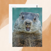 Close-up Groundhog Portret Briefkaart