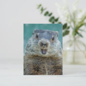 Close-up Groundhog Portret Briefkaart (Staand voorkant)