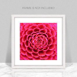 Close-up Hot Pink Flower Fotovergroting Foto Afdruk