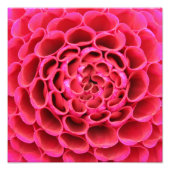 Close-up Hot Pink Flower Fotovergroting Foto Afdruk (Voorkant)