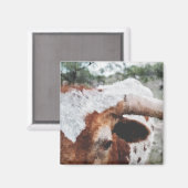 Close-up Impressionist geschilderd Longhorn Magneet (Voorkant / Achterkant)