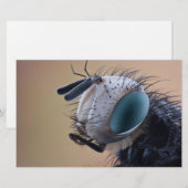 Close-up insectenkop briefpapier (Voorkant / Achterkant)