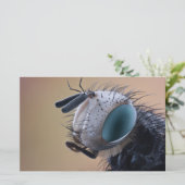 Close-up insectenkop briefpapier (Staand voorkant)