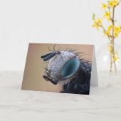 Close-up insectenkop kaart (Gele Bloem)