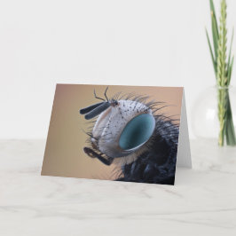 Close-up insectenkop kaart