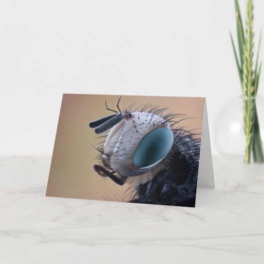 Close-up insectenkop kaart (Voorkant)