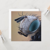 Close-up insectenkop kaart (Voorkant / Achterkant in situ)