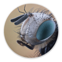 Close-up insectenkop keramische knop