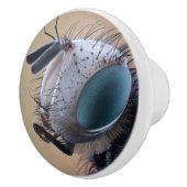 Close-up insectenkop keramische knop (Rechts)