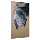 Close-up insectenkop klembord (Rechts)