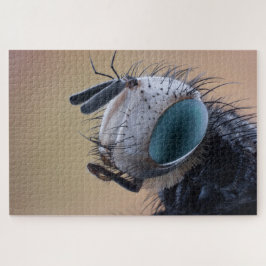 Close-up insectenkop legpuzzel