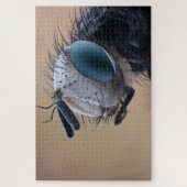 Close-up insectenkop legpuzzel (Verticaal)